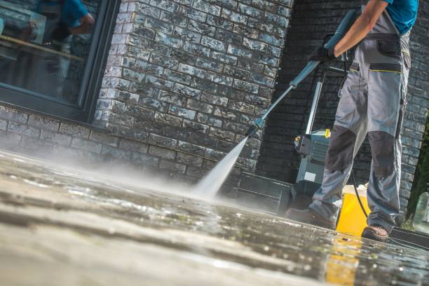Best Gutter Cleaning  in Alamosa East, CO