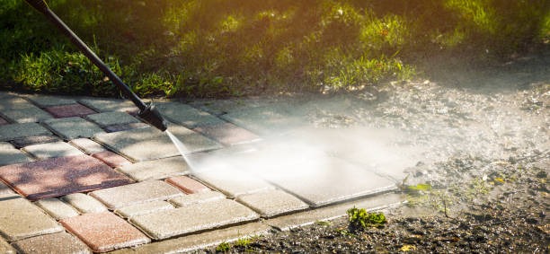 Best Driveway Pressure Washing  in Alamosa East, CO